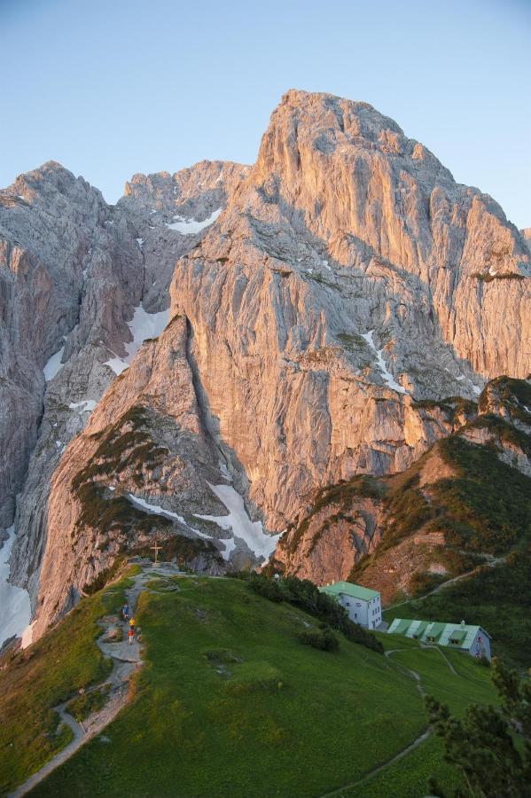 Alpengasthaus Griesner Alm Hotel Kirchdorf in Tirol Ngoại thất bức ảnh